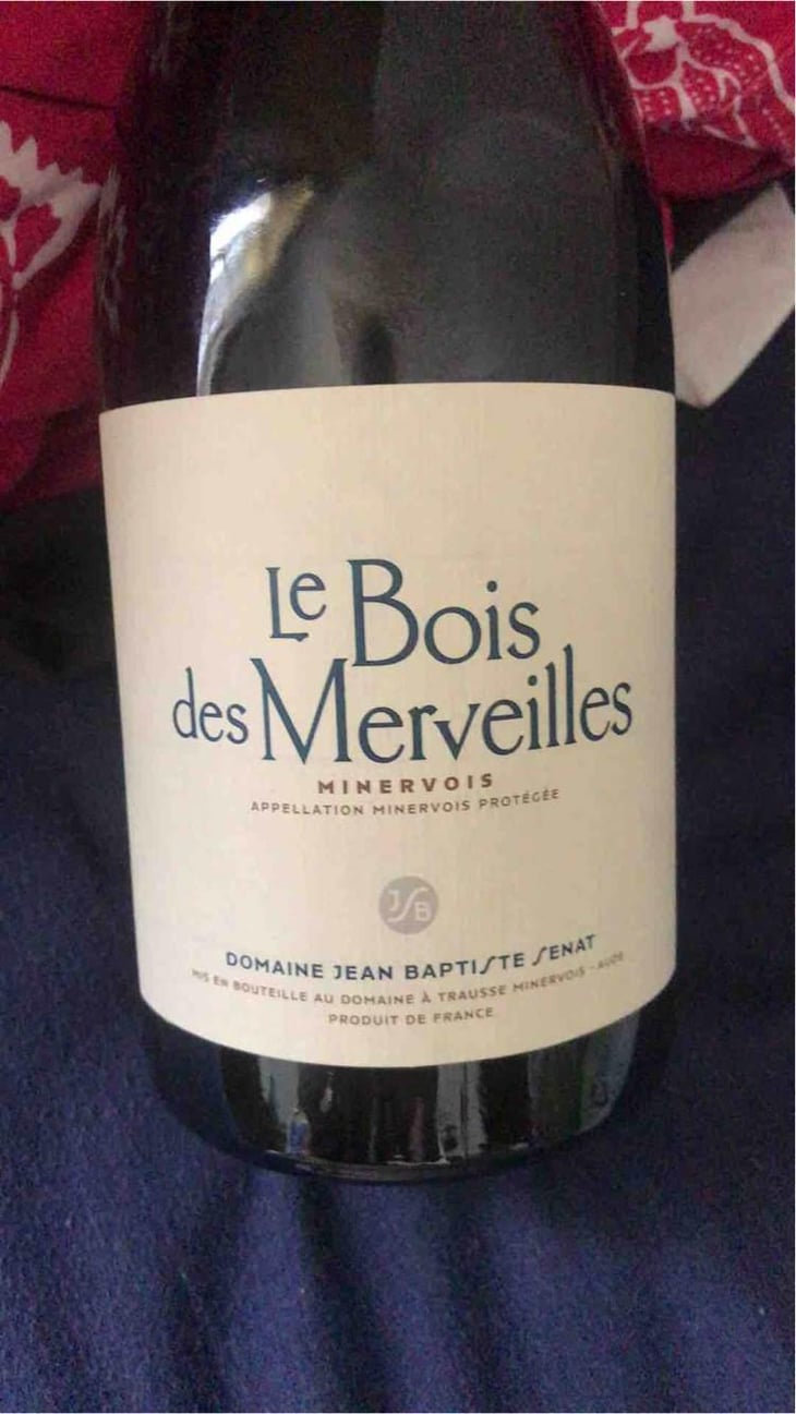 Le Bois Des Merveilles - Jean-Baptiste Senat - Charlotte & Jean-Baptiste Senat 