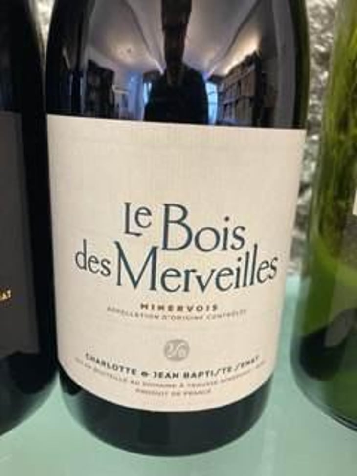 Le Bois Des Merveilles - Jean-Baptiste Senat - Charlotte & Jean-Baptiste Senat 