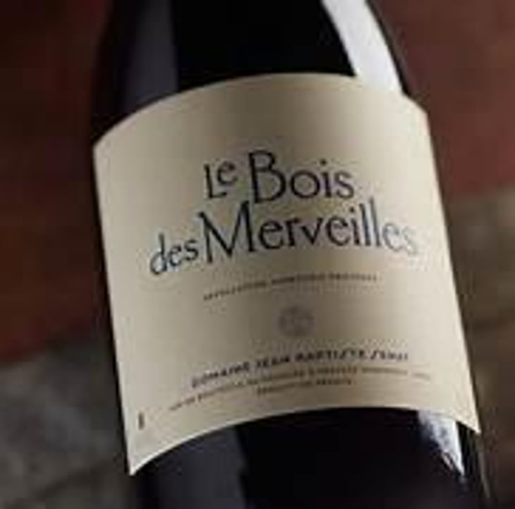 Le Bois Des Merveilles - Jean-Baptiste Senat - Charlotte & Jean-Baptiste Senat 