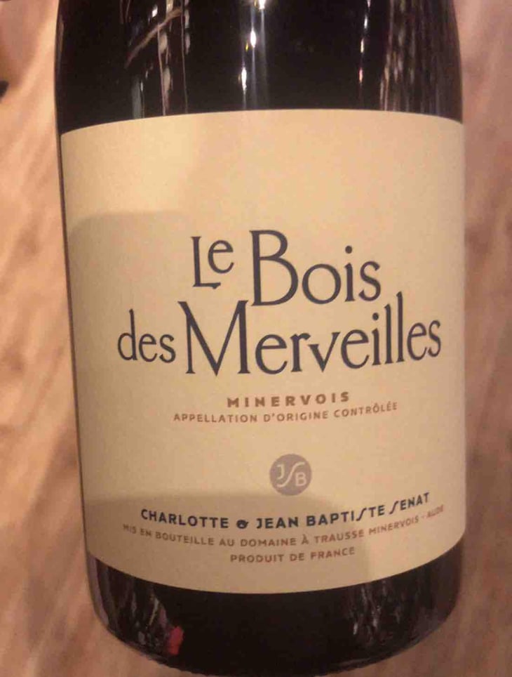 Le Bois Des Merveilles - Jean-Baptiste Senat - Charlotte & Jean-Baptiste Senat 