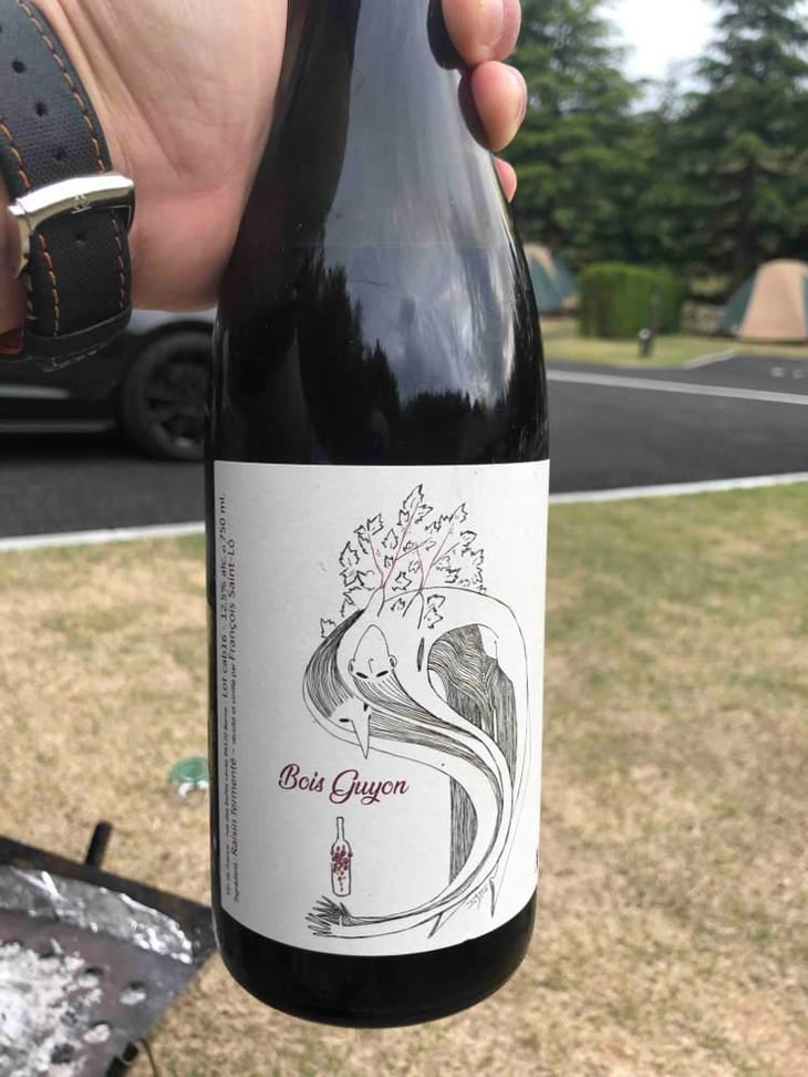 Le Bois Guyon - François Saint-Lô - François Saint-Lô 