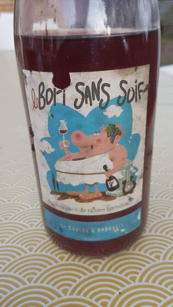 Le Bois Sans Soif - Domaine Chesnais ? - Chesnais 