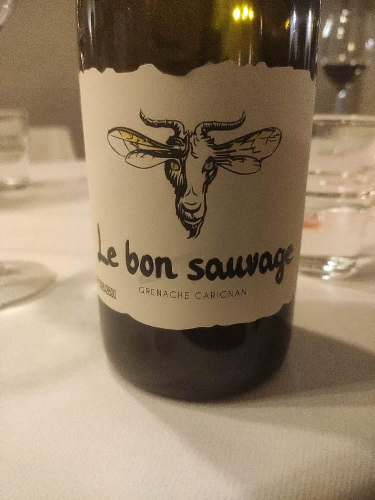 Le Bon Sauvage - Domaine Boucabeille - Jean Boucabeille 