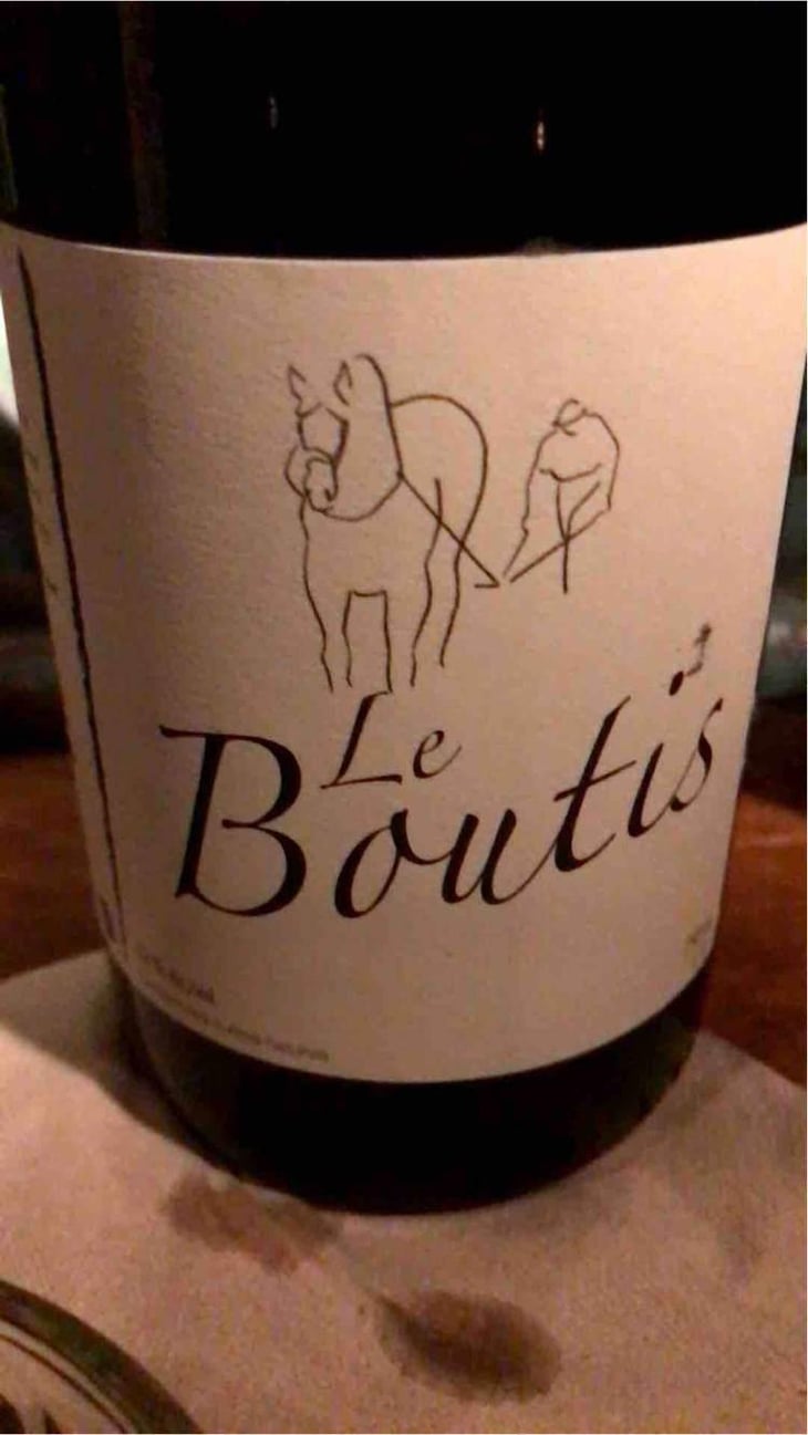 Le Boutis - Michel Guignier - Michel Guignier 