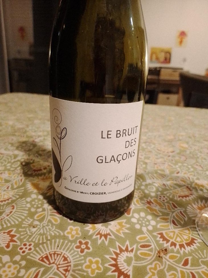 Le Bruit Des Glaçons - La Vrille et le Papillon - Géraldine & Méryl Croizier 