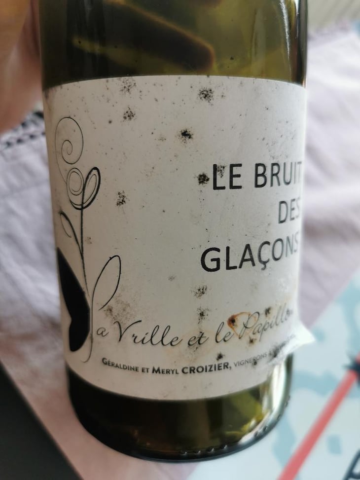 Le Bruit Des Glaçons - La Vrille et le Papillon - Géraldine & Méryl Croizier 