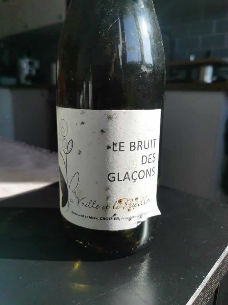 Le Bruit Des Glaçons - La Vrille et le Papillon - Géraldine & Méryl Croizier 