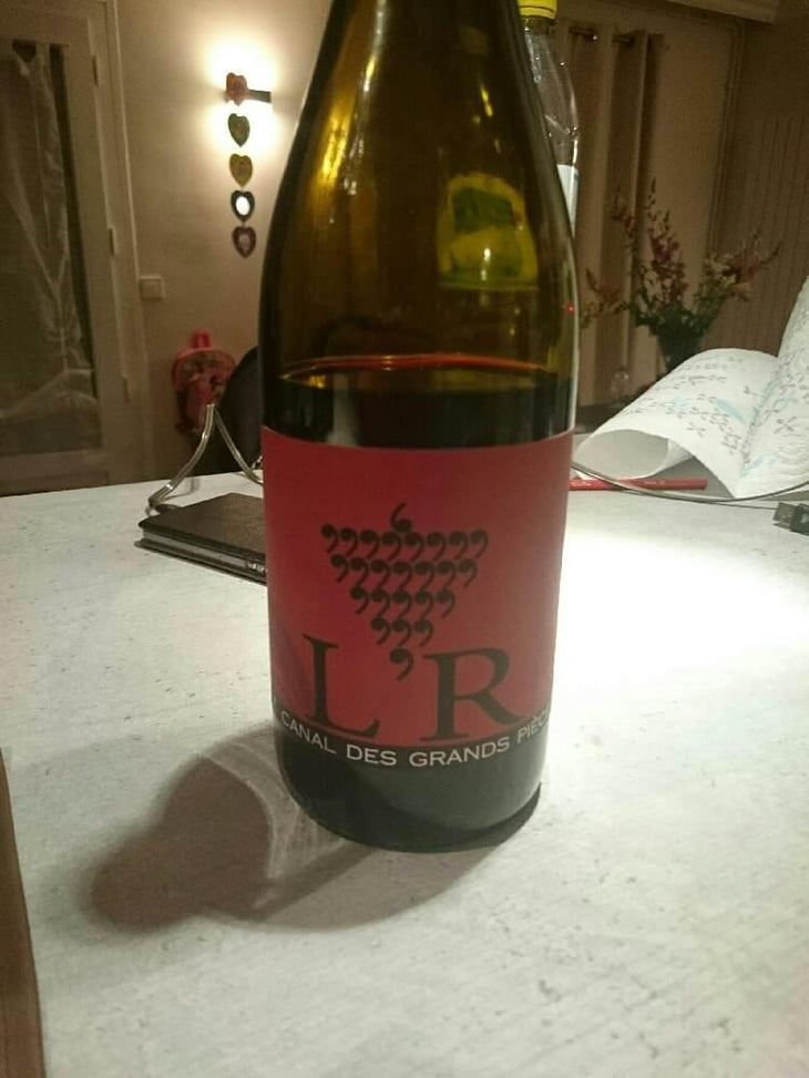 Le Canal des Grands Pièces - Domaine de l'R - Frédéric Sigonneau 