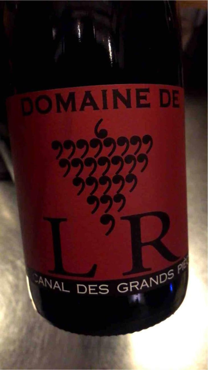 Le Canal des Grands Pièces - Domaine de l'R - Frédéric Sigonneau 