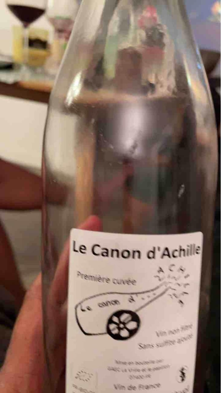 Le Canon D'Achille - La Vrille et le Papillon - Géraldine & Méryl Croizier 