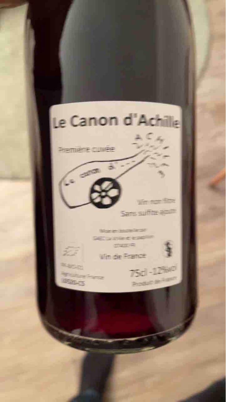 Le Canon D'Achille - La Vrille et le Papillon - Géraldine & Méryl Croizier 