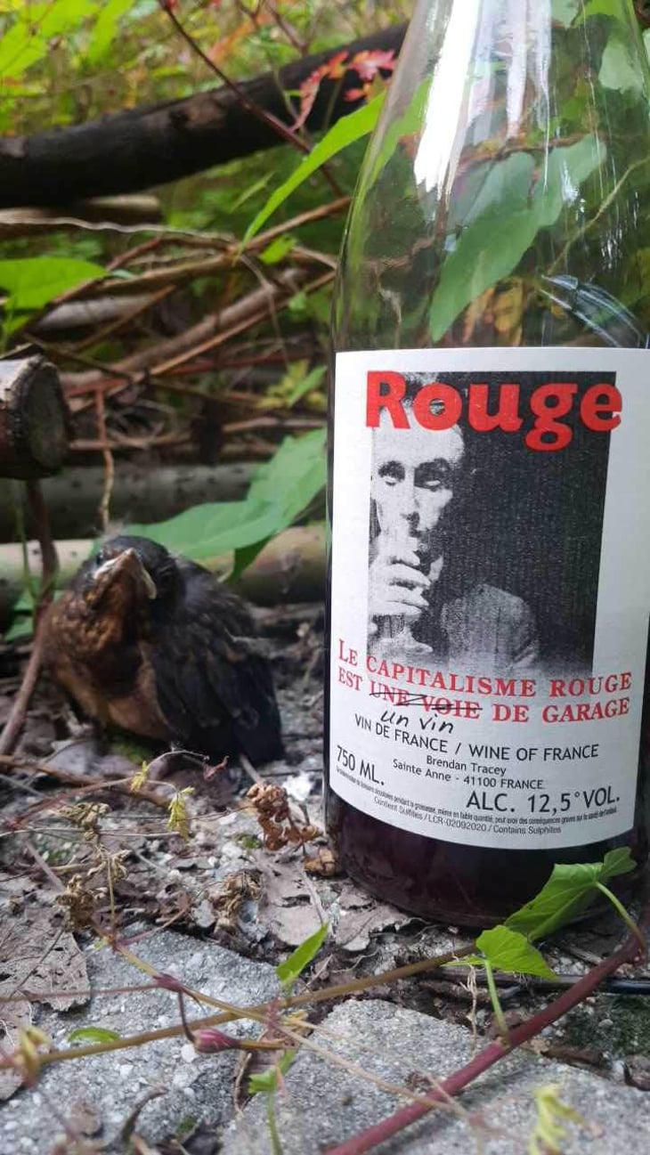 Le Capitalisme Rouge est une Voie de Garage - Domaine Le Clocher - Les Vins de Sainte Anne - Brendan & Sean Tracey 