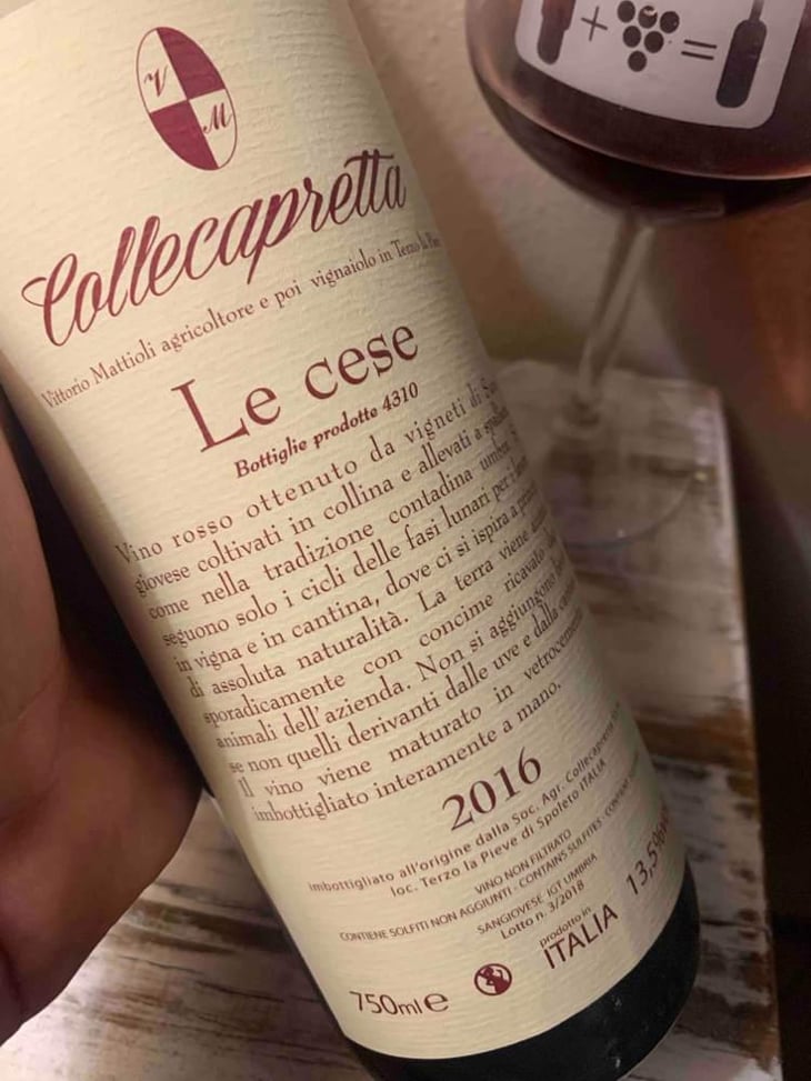 Le Cese - Collecapretta - Anna & Vittorio Mattioli 