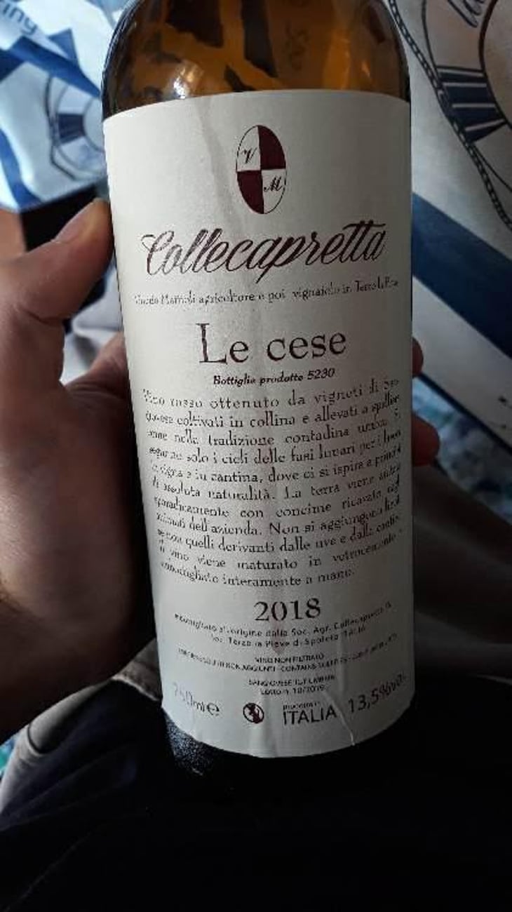 Le Cese - Collecapretta - Anna & Vittorio Mattioli 