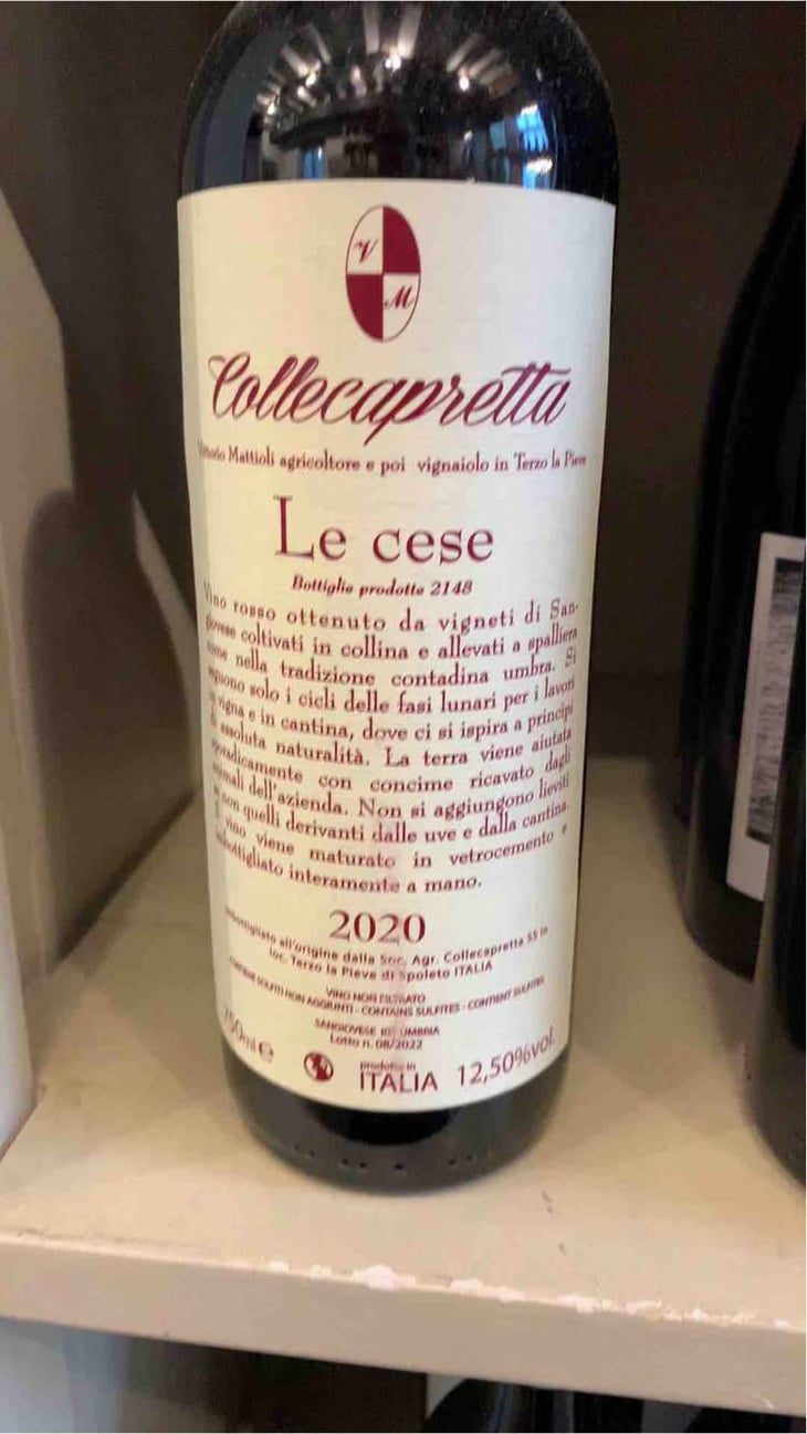 Le Cese - Collecapretta - Anna & Vittorio Mattioli 