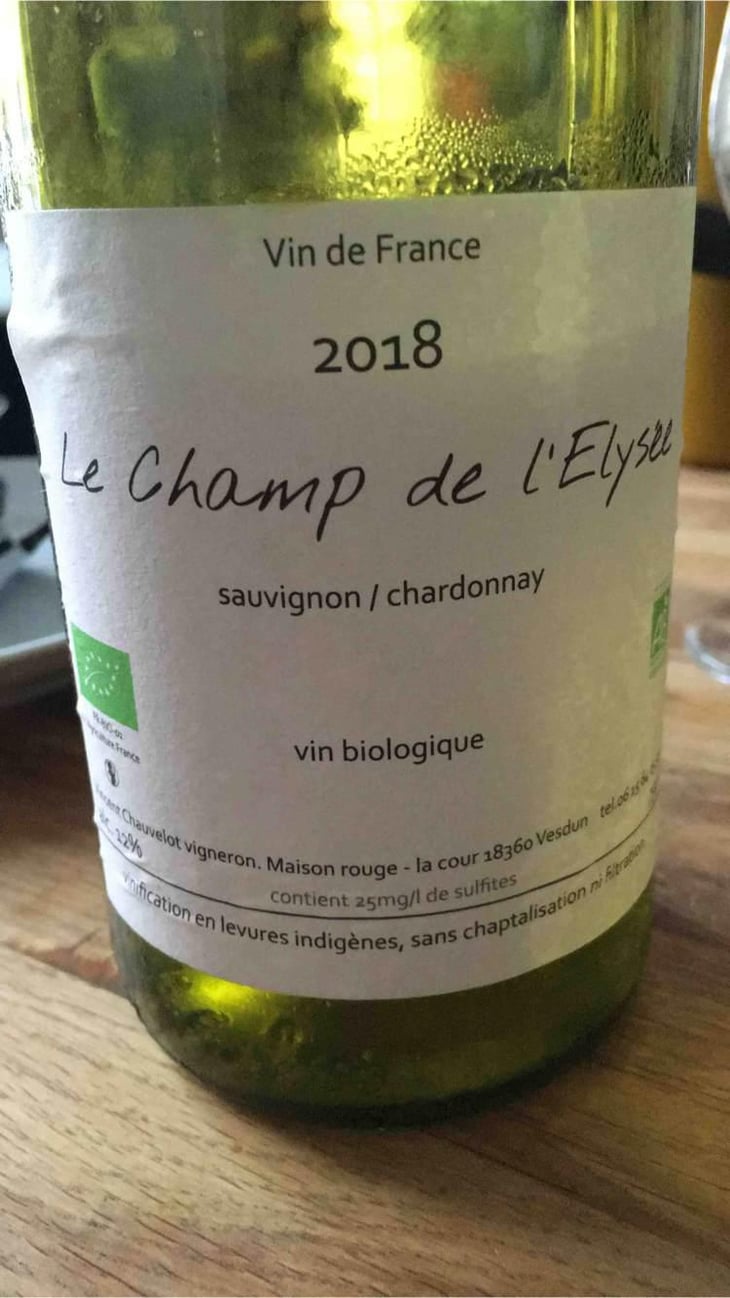 Le Champ De L’Elysee - Vincent Chauvelot - Vincent Chauvelot 