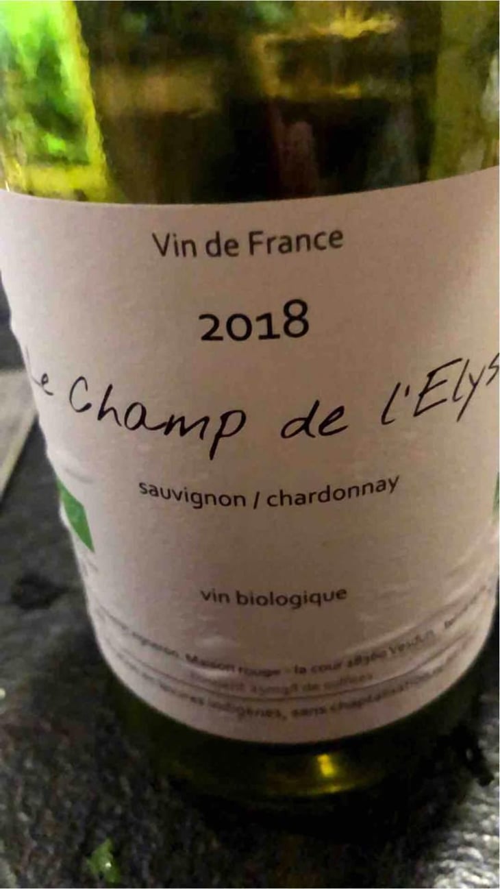 Le Champ De L’Elysee - Vincent Chauvelot - Vincent Chauvelot 