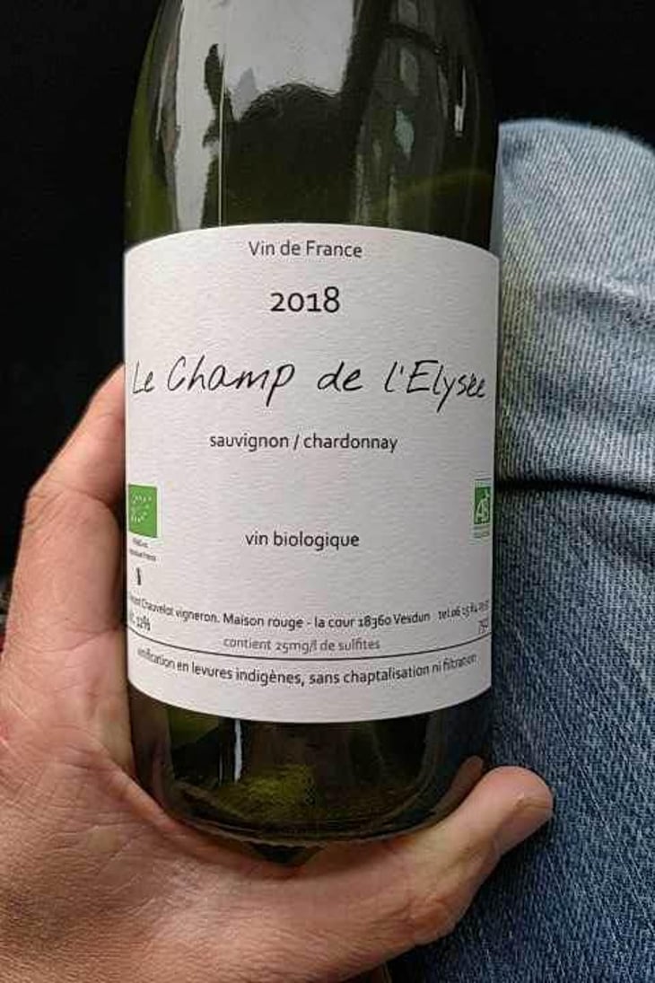 Le Champ De L’Elysee - Vincent Chauvelot - Vincent Chauvelot 