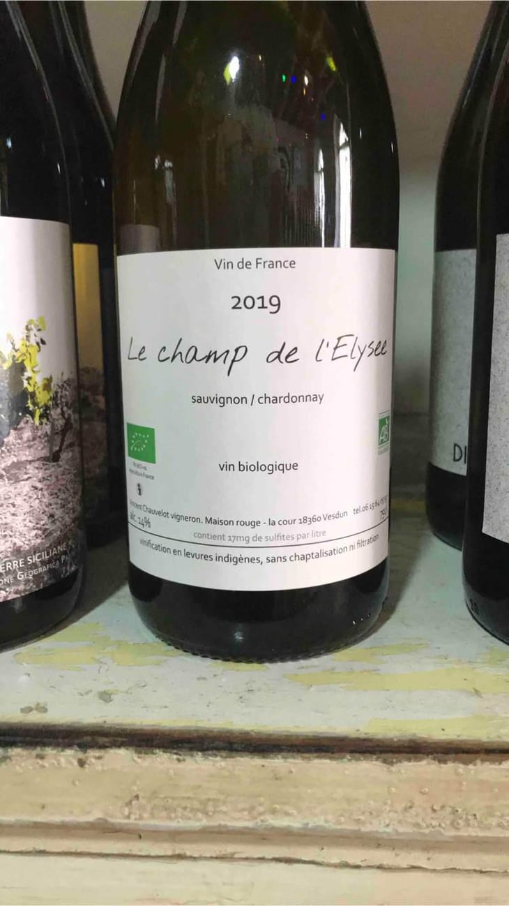 Le Champ De L’Elysee - Vincent Chauvelot - Vincent Chauvelot 