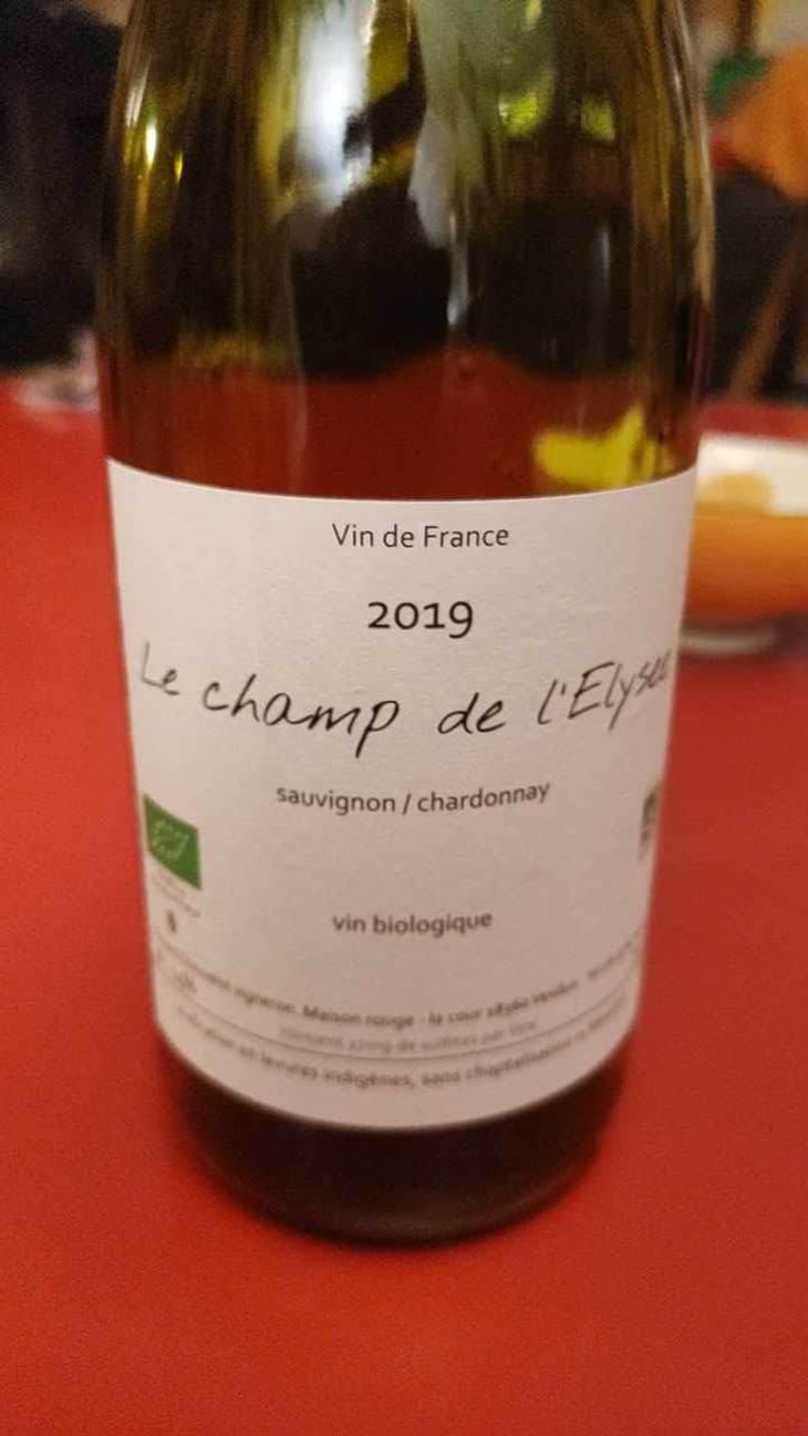 Le Champ De L’Elysee - Vincent Chauvelot - Vincent Chauvelot 