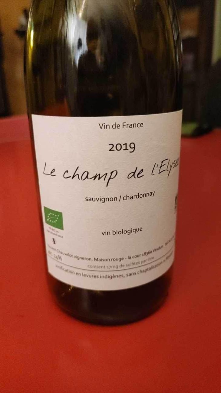 Le Champ De L’Elysee - Vincent Chauvelot - Vincent Chauvelot 