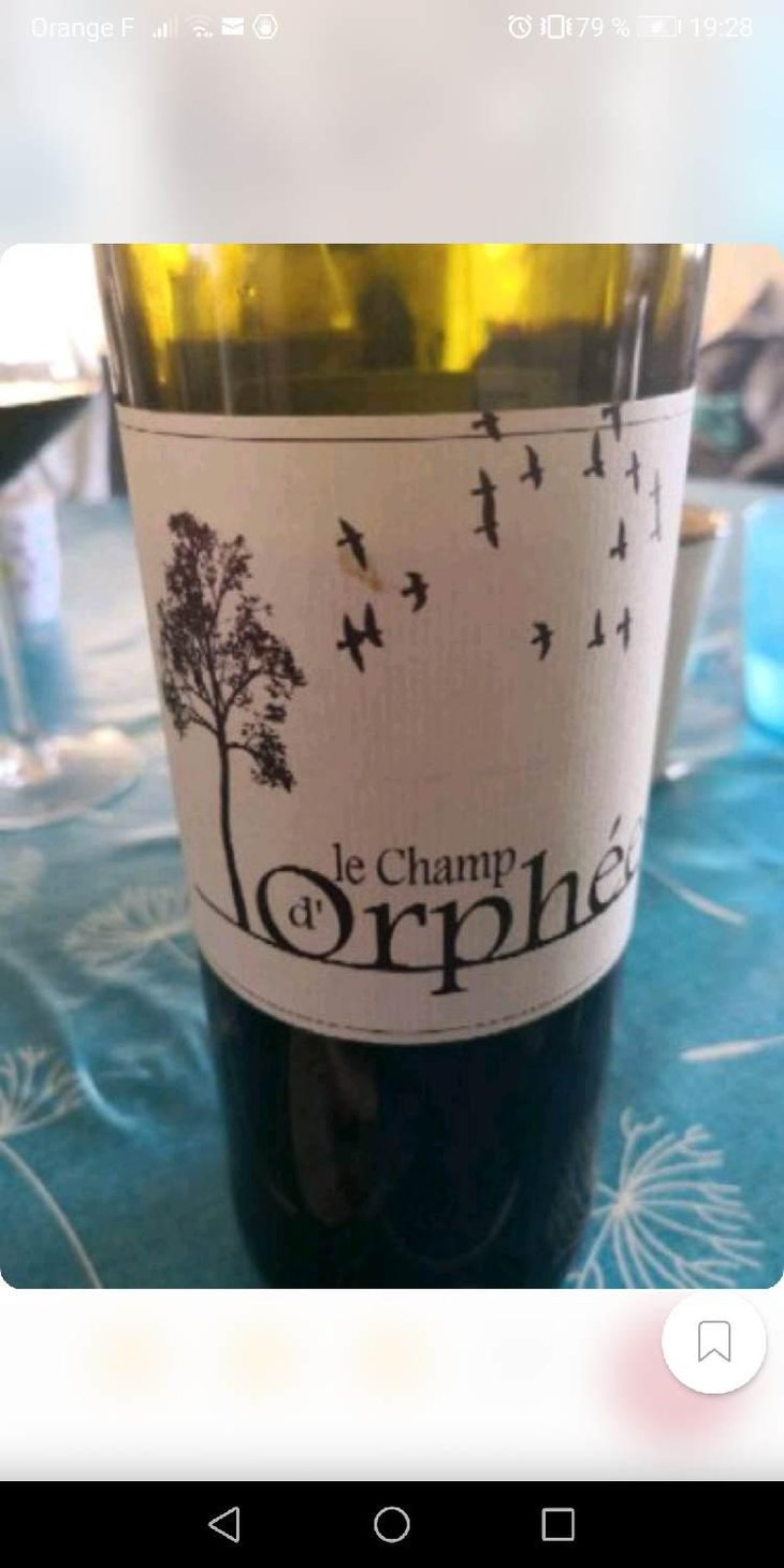 Le Champ d'Orphée - Le Champ d'Orphée - Stéphane Lucas 