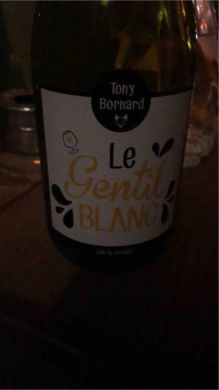 Le Chardo Gai - Domaine Bornard - Tony Bornard 