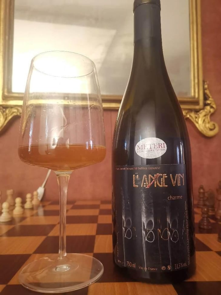 Le Charme du Loir - Les Vignes de l'Angevin - Jean-Pierre Robinot 