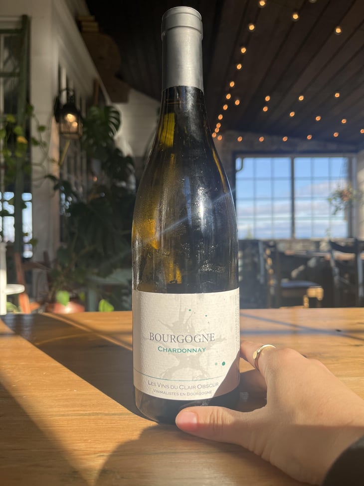 Le Chat Blanc - Domaine du Clair Obscur - Jennifer et Pierre Clair 