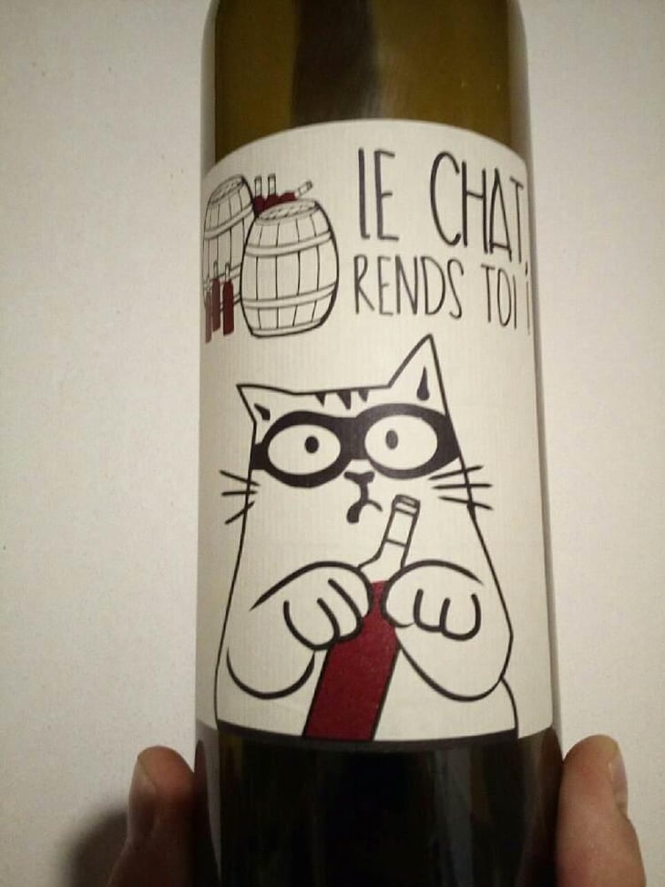Le Chat Rends Toi - François Jobit - François Jobit 