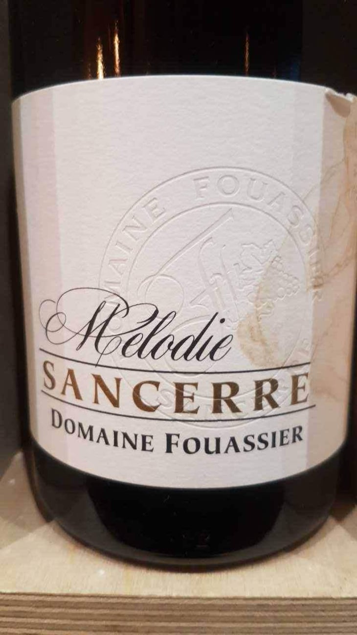 Le Clos De Bannon - Domaine Fouassier - Benoit & Paul Fouassier 