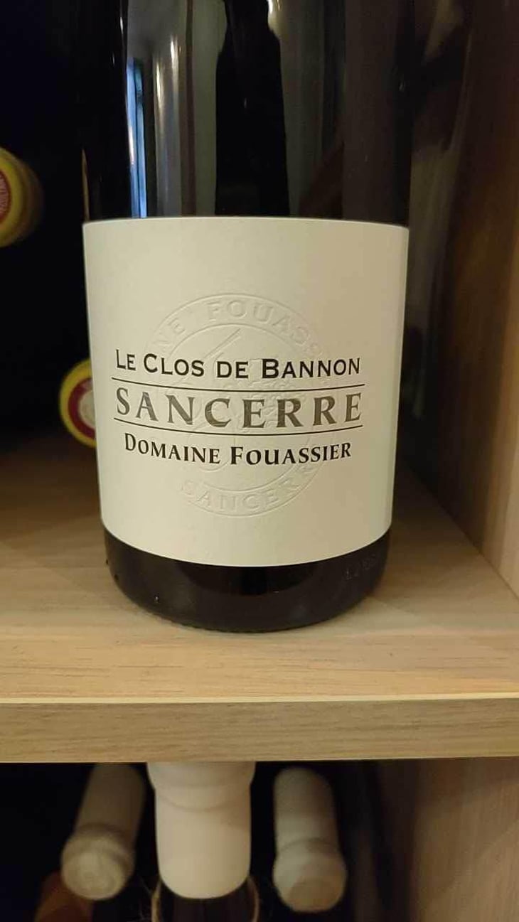 Le Clos De Bannon - Domaine Fouassier - Benoit & Paul Fouassier 