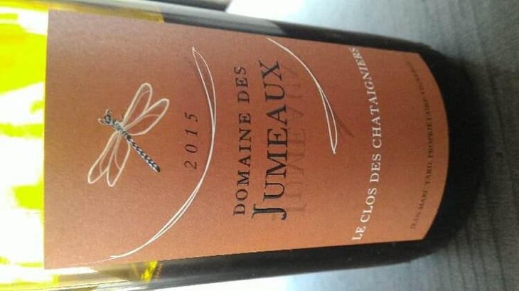 Le Clos des Châtaigners - Domaine des Jumeaux - Maryline & Jean-Marc Tard 