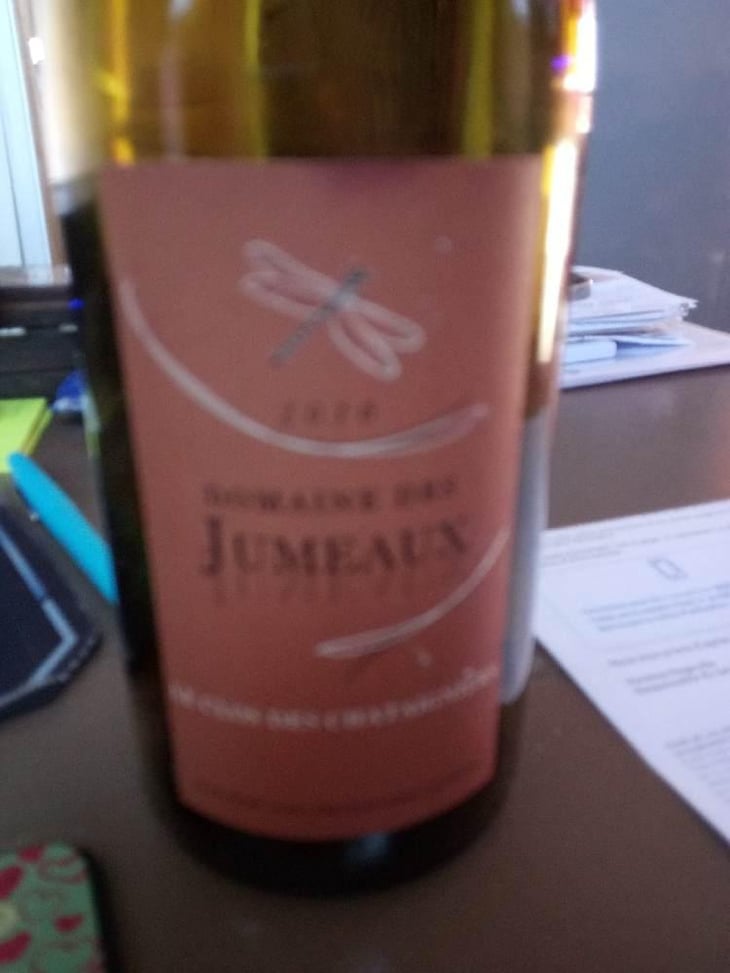 Le Clos des Châtaigners - Domaine des Jumeaux - Maryline & Jean-Marc Tard 