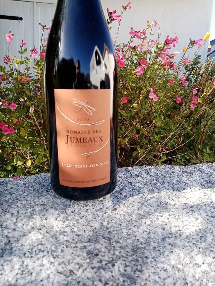 Le Clos des Châtaigners - Domaine des Jumeaux - Maryline & Jean-Marc Tard 