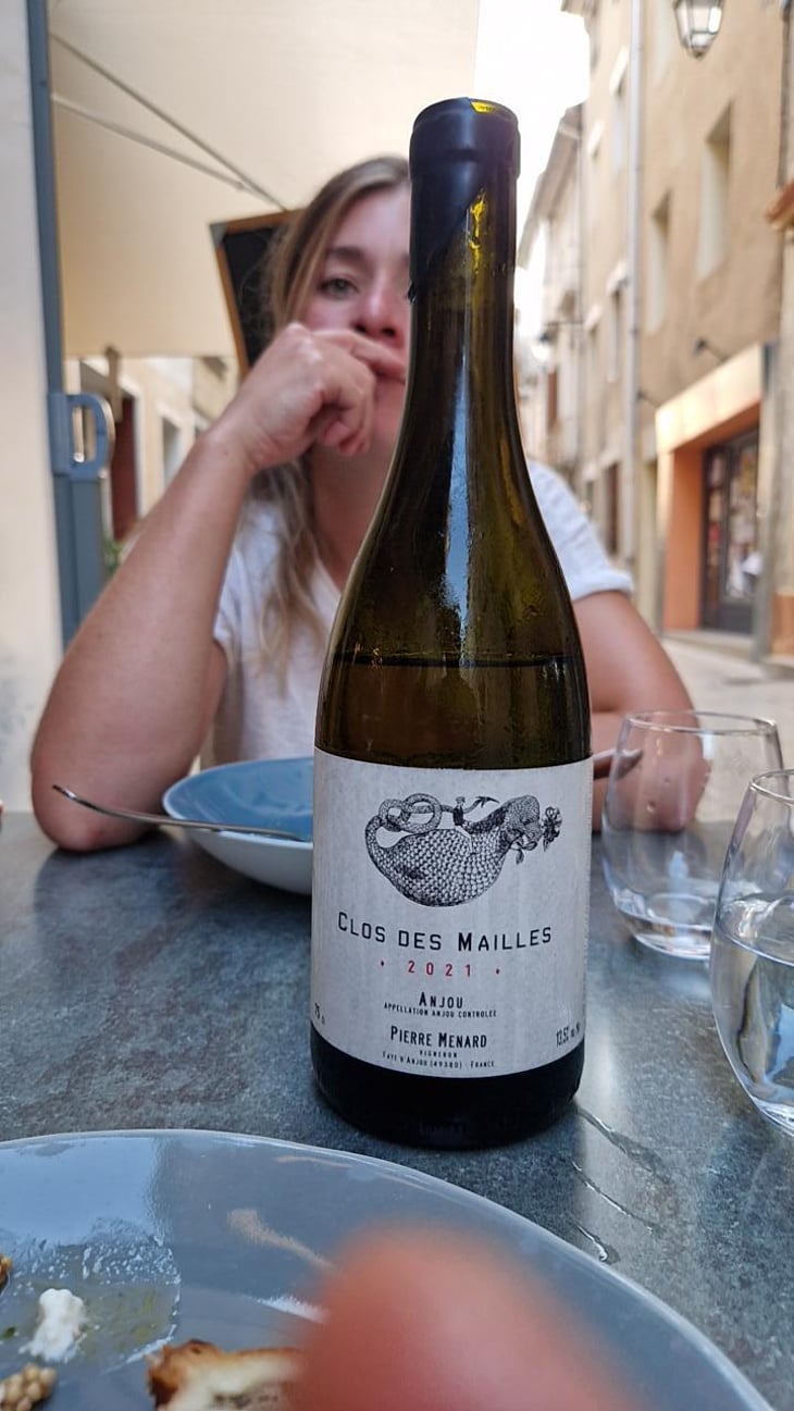 Le Clos des Mailles - Domaine Pierre Ménard - Pierre Ménard 