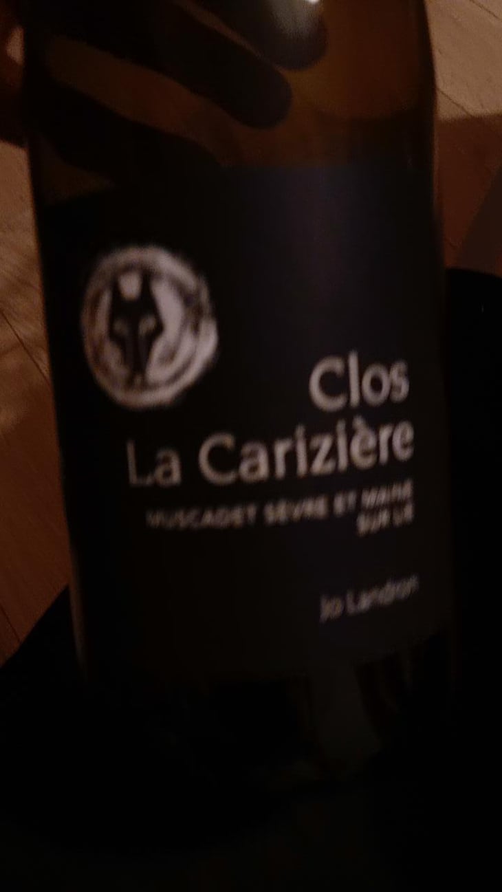 Le Clos la Carizière - Domaine Jo Landron - Jo Landron 