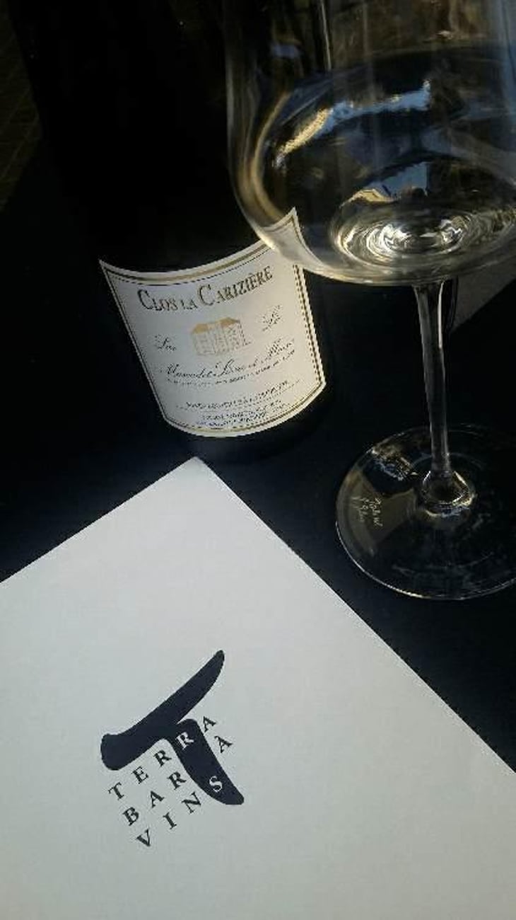 Le Clos la Carizière - Domaine Jo Landron - Jo Landron 