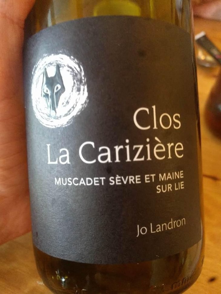 Le Clos la Carizière - Domaine Jo Landron - Jo Landron 