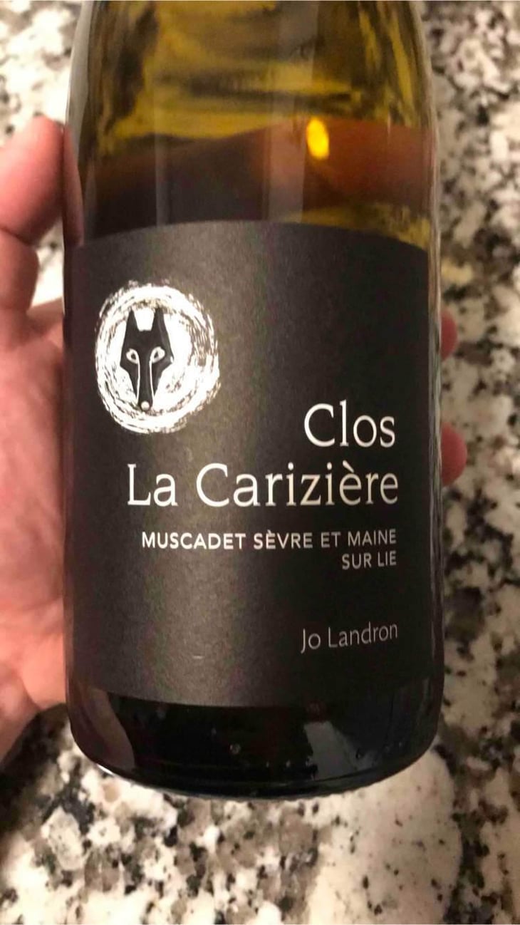 Le Clos la Carizière - Domaine Jo Landron - Jo Landron 