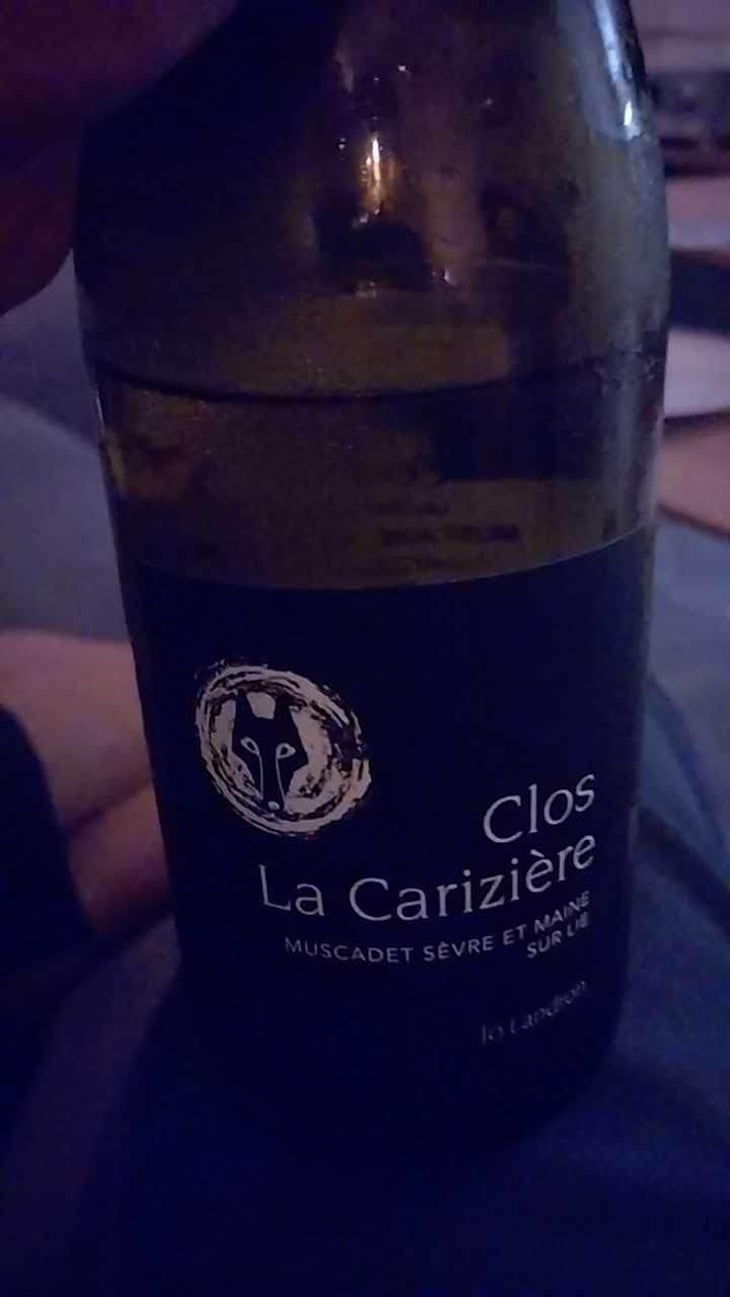 Le Clos la Carizière - Domaine Jo Landron - Jo Landron 