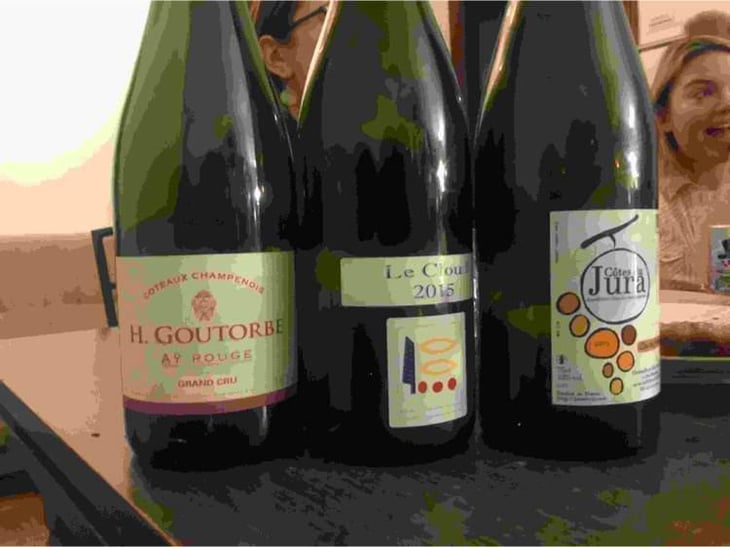 Le Cloud Rouge - Domaine Prieuré Roch - Henry-Frédéric Roch & Yannick Champ 