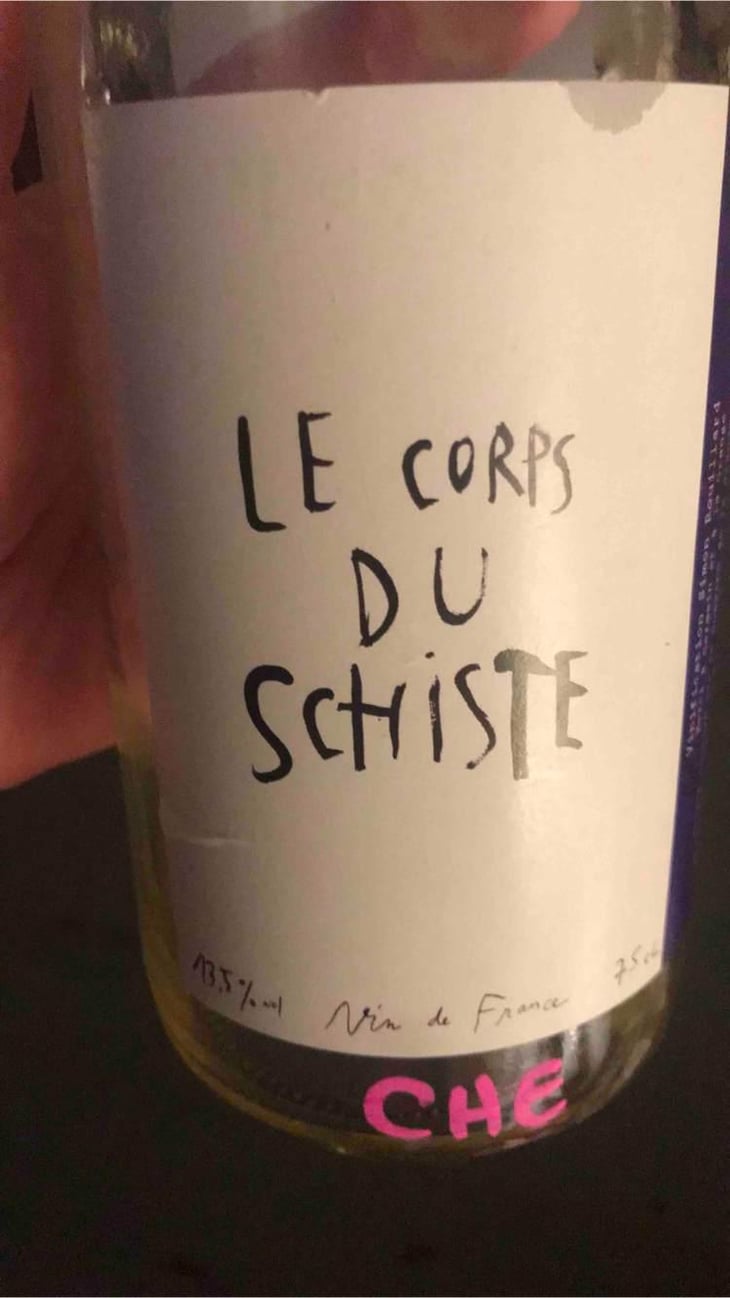 Le Corps Du Schiste - Simon Rouillard - Simon Rouillard 