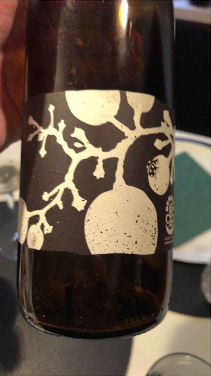 Le Coup de Fouet - Domaine Piccard - Jean-Christophe Piccard 