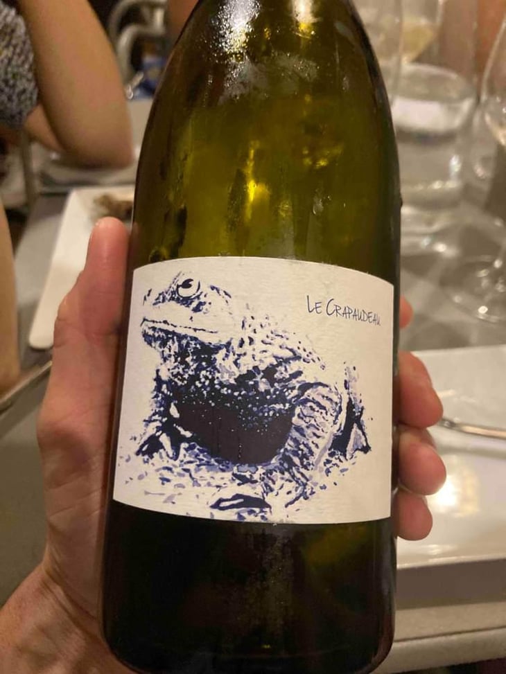 Le Crapaudeau - Domaine Passe Pont - David Landron 