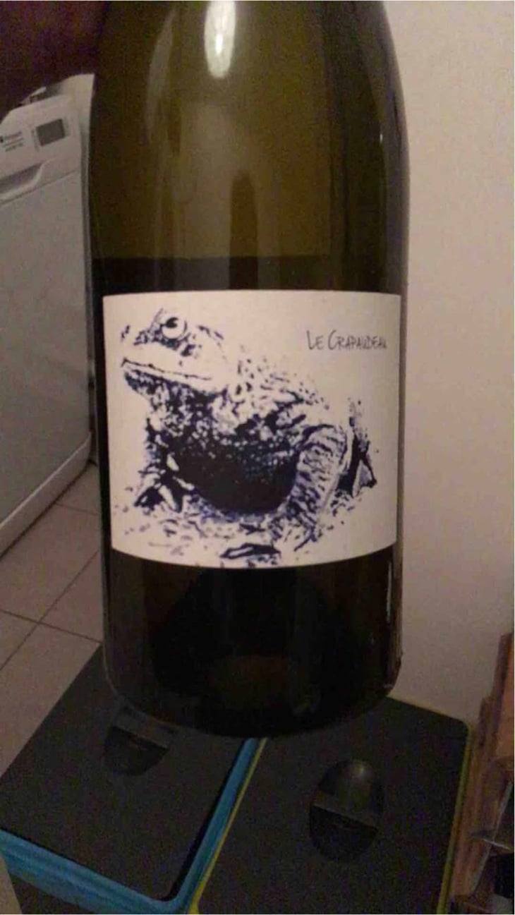 Le Crapaudeau - Domaine Passe Pont - David Landron 