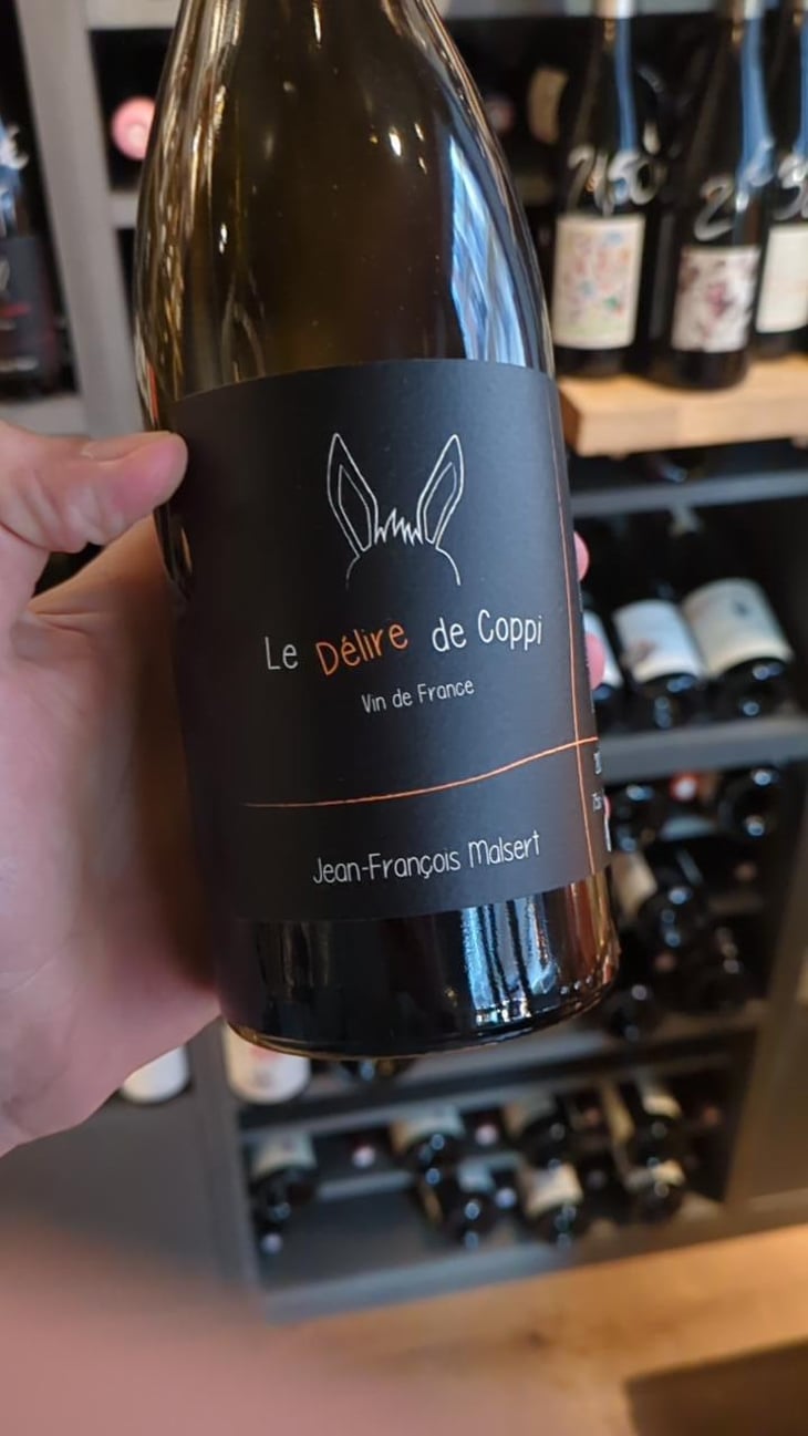 le delire de coppi - Malsert - Jean-François Malsert -2020