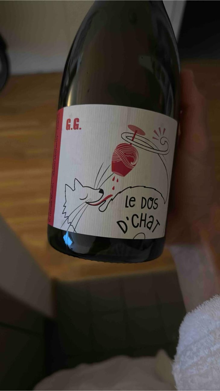 Le Dos D’Chat Rouge - Domaine de Saint Pierre - Fabrice Dodane 