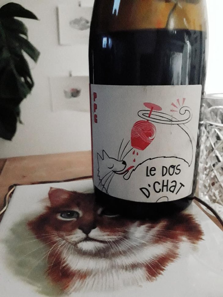Le Dos D’Chat Rouge - Domaine de Saint Pierre - Fabrice Dodane 