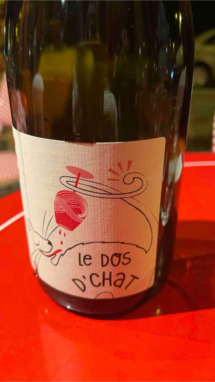 Le Dos D’Chat Rouge - Domaine de Saint Pierre - Fabrice Dodane 